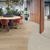 Dune Oak RL24 and Brezza Ceppo LM43 floors zone a workspace